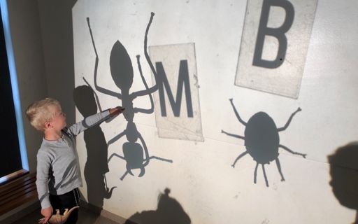 Leikur með myndvarpa